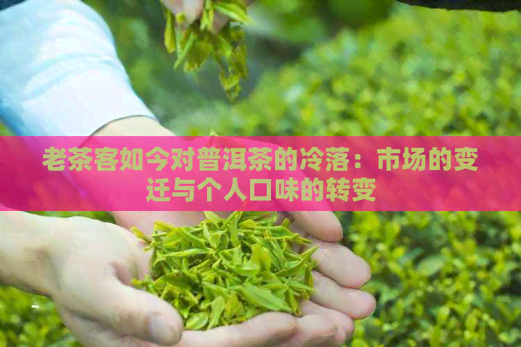 老茶客如今对普洱茶的冷落：市场的变迁与个人口味的转变