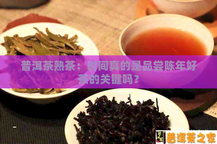 普洱茶熟茶：时间真的是品尝陈年好茶的关键吗？