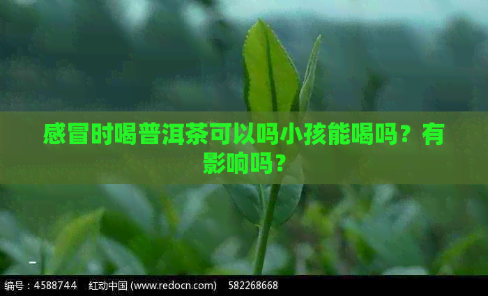 感冒时喝普洱茶可以吗小孩能喝吗？有影响吗？