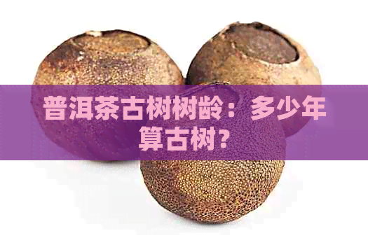 普洱茶古树树龄：多少年算古树？