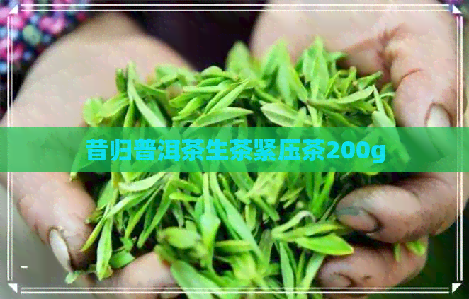 昔归普洱茶生茶紧压茶200g