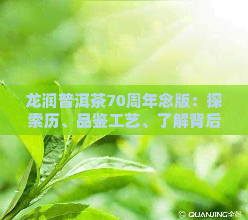 龙润普洱茶70周年念版：探索历、品鉴工艺、了解背后故事的全方位指南