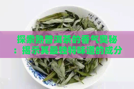 探索熟普洱茶的香气奥秘：揭示其最独特味道的成分与品质因素