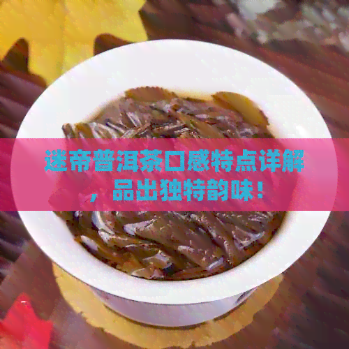 迷帝普洱茶口感特点详解，品出独特韵味！