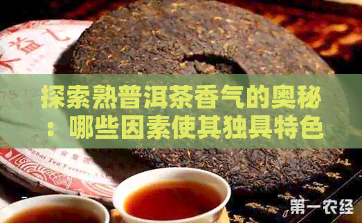 探索熟普洱茶香气的奥秘：哪些因素使其独具特色？