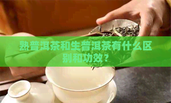 熟普洱茶和生普洱茶有什么区别和功效？