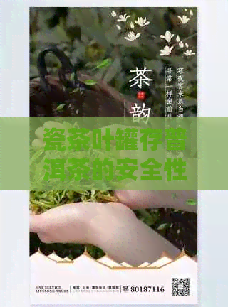 瓷茶叶罐存普洱茶的安全性及其是否有害：一篇详尽解答