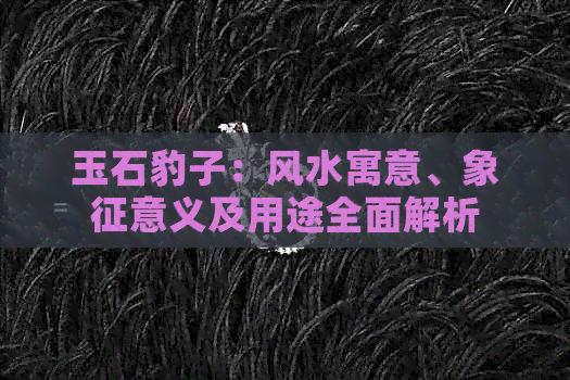 玉石豹子：风水寓意、象征意义及用途全面解析