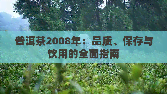 普洱茶2008年：品质、保存与饮用的全面指南