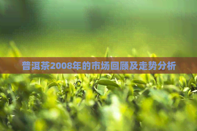 普洱茶2008年的市场回顾及走势分析