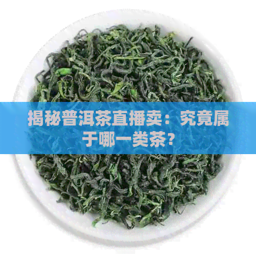 揭秘普洱茶直播卖：究竟属于哪一类茶？