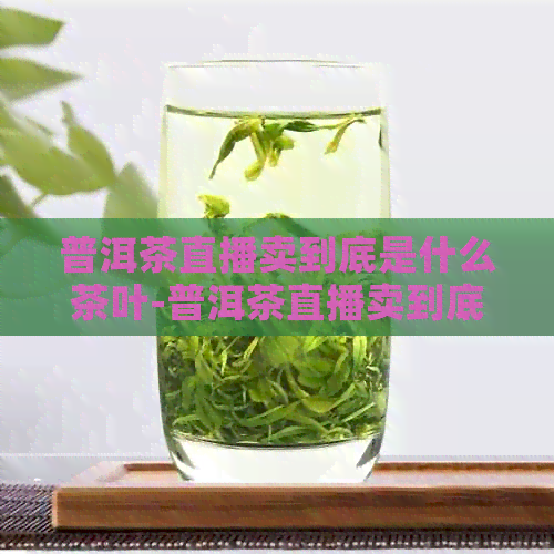 普洱茶直播卖到底是什么茶叶-普洱茶直播卖到底是什么茶叶呢