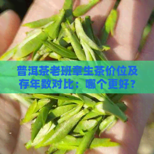 普洱茶老班章生茶价位及存年数对比：哪个更好？