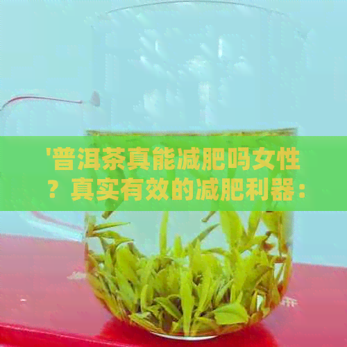 '普洱茶真能减肥吗女性？真实有效的减肥利器：普洱茶！百度百科揭秘'