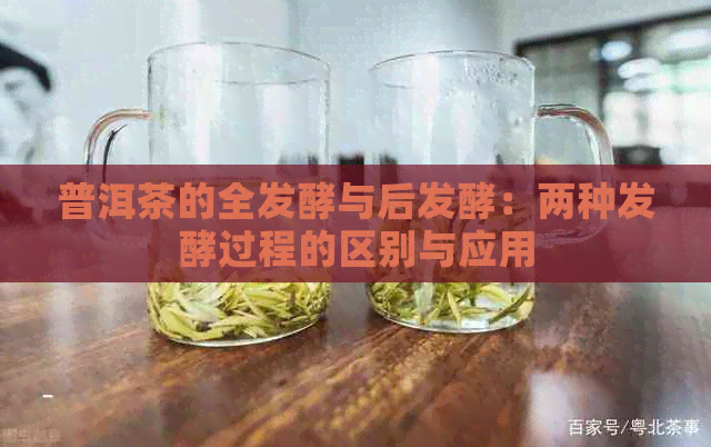 普洱茶的全发酵与后发酵：两种发酵过程的区别与应用