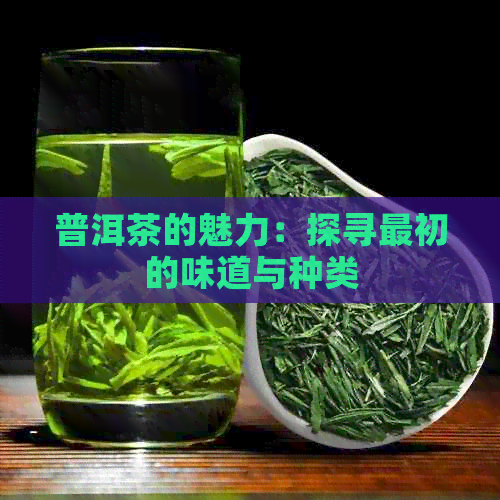 普洱茶的魅力：探寻最初的味道与种类