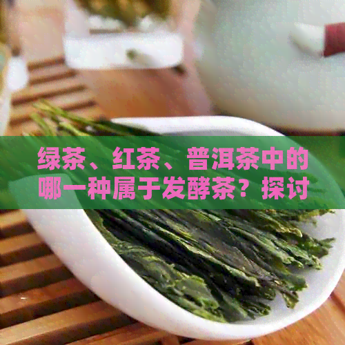 绿茶、红茶、普洱茶中的哪一种属于发酵茶？探讨茶叶的发酵程度与分类