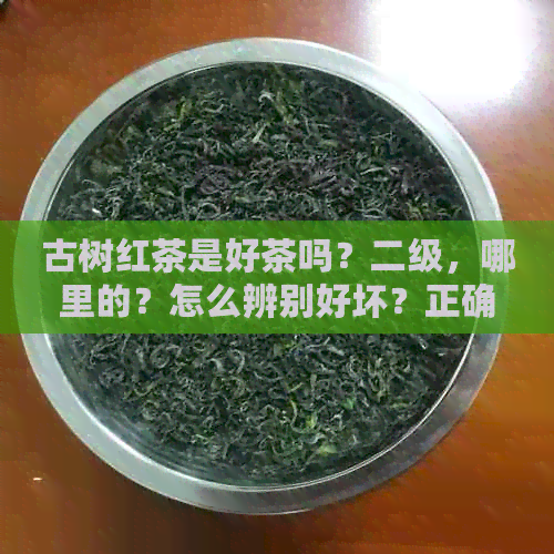 古树红茶是好茶吗？二级，哪里的？怎么辨别好坏？正确冲泡方法。