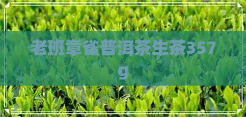 老班章雀普洱茶生茶357g