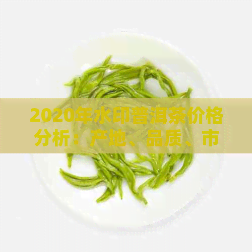 2020年水印普洱茶价格分析：产地、品质、市场趋势一应俱全