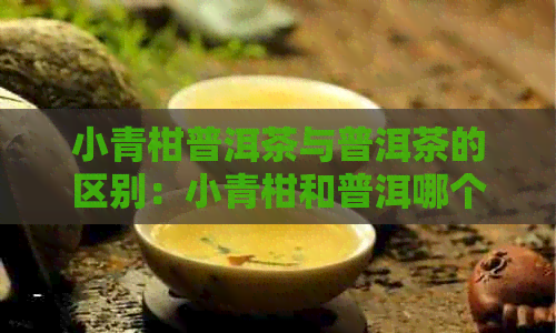 小青柑普洱茶与普洱茶的区别：小青柑和普洱哪个好喝？