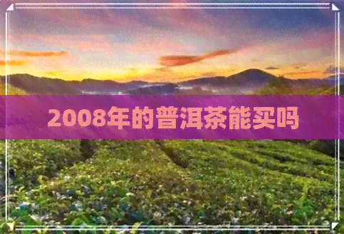 2008年的普洱茶能买吗