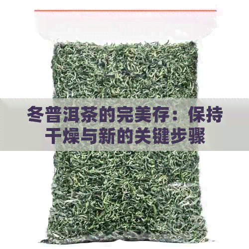 冬普洱茶的完美存：保持干燥与新的关键步骤