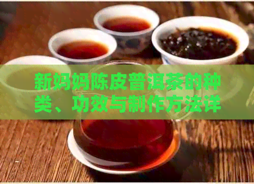 新妈妈陈皮普洱茶的种类、功效与制作方法详解