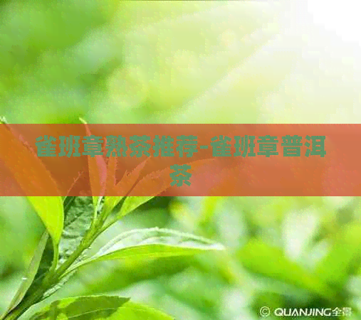 雀班章熟茶推荐-雀班章普洱茶