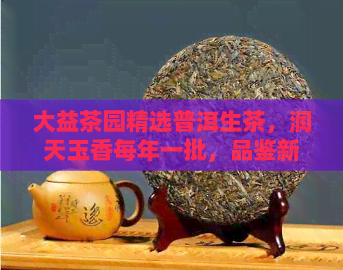 大益茶园精选普洱生茶，润天玉香每年一批，品鉴新茶魅力