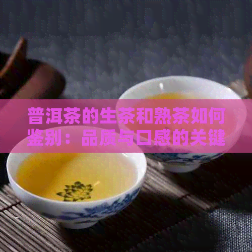 普洱茶的生茶和熟茶如何鉴别：品质与口感的关键要素