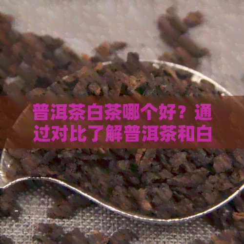 普洱茶白茶哪个好？通过对比了解普洱茶和白茶到底哪个更好。