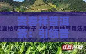 贵春祥普洱茶：引领普洱茶业的新标杆官网地址