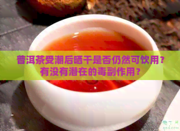 普洱茶受潮后晒干是否仍然可饮用？有没有潜在的副作用？