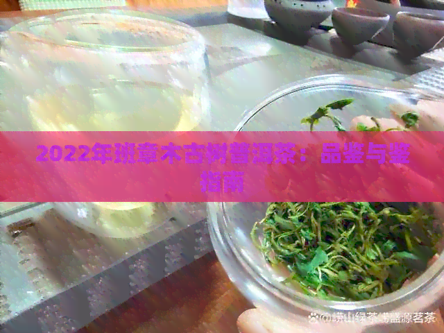 2022年班章木古树普洱茶：品鉴与鉴指南