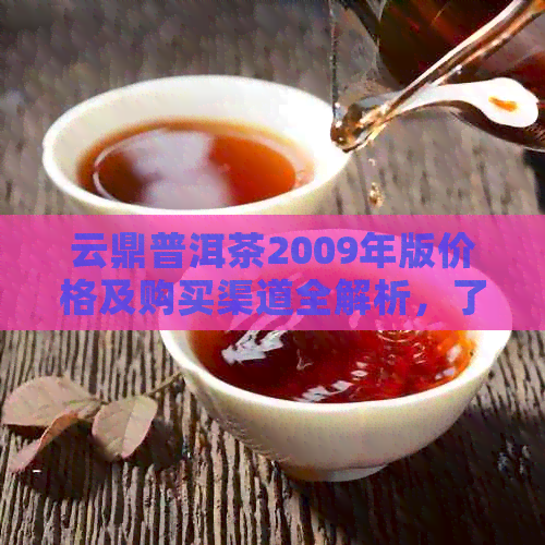 云鼎普洱茶2009年版价格及购买渠道全解析，了解这款茶的性价比与品鉴方法