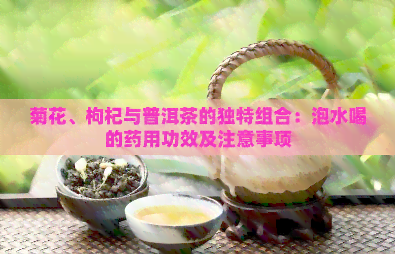 菊花、枸杞与普洱茶的独特组合：泡水喝的药用功效及注意事项