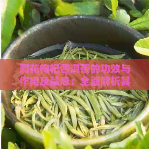 菊花枸杞普洱茶的功效与作用及禁忌：全面解析其健益处和潜在风险