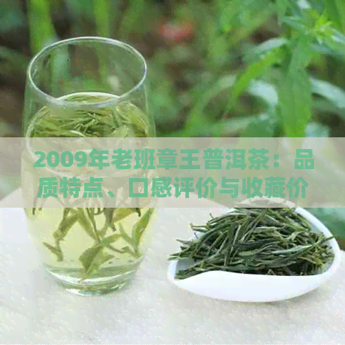 2009年老班章王普洱茶：品质特点、口感评价与收藏价值详解