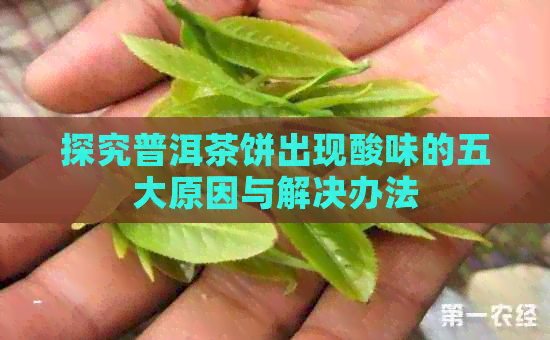 探究普洱茶饼出现酸味的五大原因与解决办法