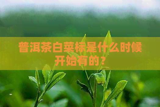 普洱茶白菜标是什么时候开始有的？