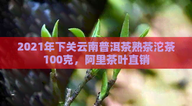 2021年下关云南普洱茶熟茶沱茶100克，阿里茶叶直销