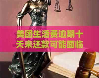 美团生活费逾期十天未还款可能面临的影响及解决方法探讨