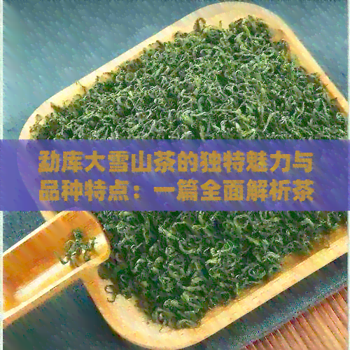 勐库大雪山茶的独特魅力与品种特点：一篇全面解析茶叶的文章