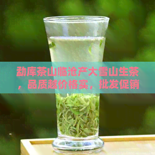 勐库茶山临沧产大雪山生茶，品质越价格实，批发促销中！