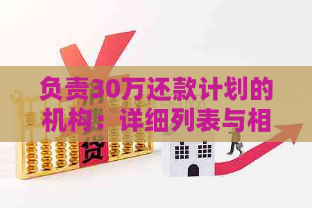 负责30万还款计划的机构：详细列表与相关信息