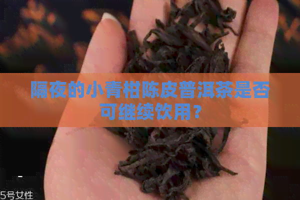 隔夜的小青柑陈皮普洱茶是否可继续饮用？