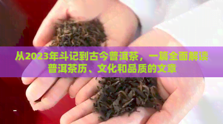 从2023年斗记到古今普洱茶，一篇全面解读普洱茶历、文化和品质的文章