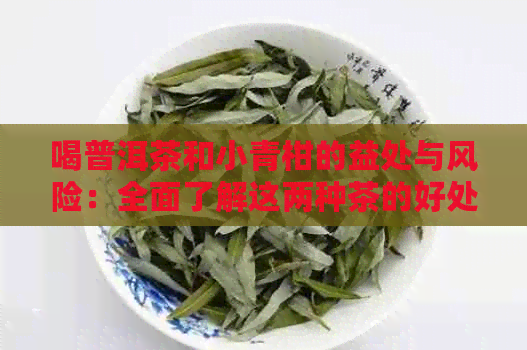 喝普洱茶和小青柑的益处与风险：全面了解这两种茶的好处与潜在副作用