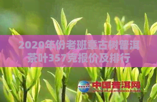 2020年份老班章古树普洱茶叶357克报价及排行